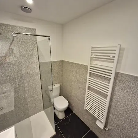 Entire House With Arcade Machine In A Private Backyard, 3 Bedrooms, 1 Bathroom, 1 Leaving With Convertible Sofa And Open Kitchen Mulhouse