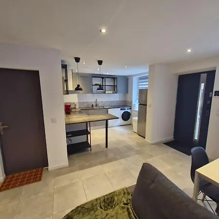 Entire House With Arcade Machine In A Private Backyard, 3 Bedrooms, 1 Bathroom, 1 Leaving With Convertible Sofa And Open Kitchen Appartamento Mulhouse