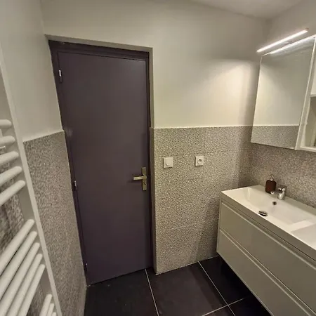 Entire House With Arcade Machine In A Private Backyard, 3 Bedrooms, 1 Bathroom, 1 Leaving With Convertible Sofa And Open Kitchen * Mulhouse