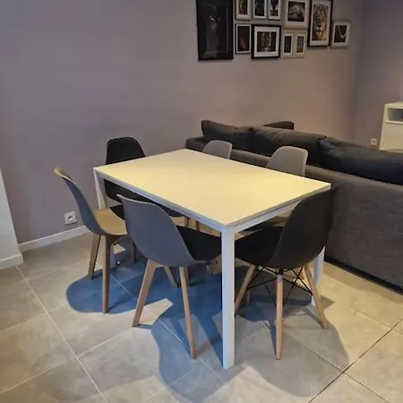 Appartamento Entire House With Arcade Machine In A Private Backyard, 3 Bedrooms, 1 Bathroom, 1 Leaving With Convertible Sofa And Open Kitchen Mulhouse