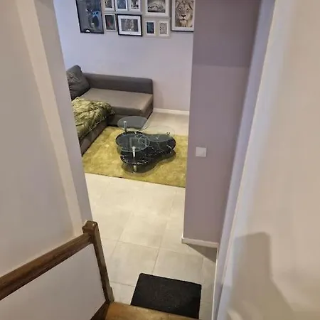 Entire House With Arcade Machine In A Private Backyard, 3 Bedrooms, 1 Bathroom, 1 Leaving With Convertible Sofa And Open Kitchen Mulhouse