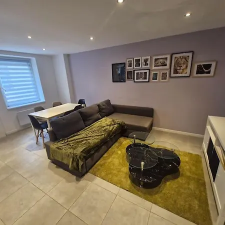 Entire House With Arcade Machine In A Private Backyard, 3 Bedrooms, 1 Bathroom, 1 Leaving With Convertible Sofa And Open Kitchen *