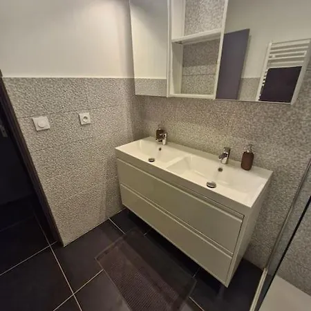 Entire House With Arcade Machine In A Private Backyard, 3 Bedrooms, 1 Bathroom, 1 Leaving With Convertible Sofa And Open Kitchen Mulhouse