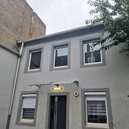 Appartamento Entire House With Arcade Machine In A Private Backyard, 3 Bedrooms, 1 Bathroom, 1 Leaving With Convertible Sofa And Open Kitchen Mulhouse