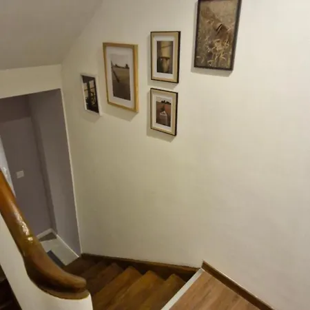 Entire House With Arcade Machine In A Private Backyard, 3 Bedrooms, 1 Bathroom, 1 Leaving With Convertible Sofa And Open Kitchen Apartment Mülhausen